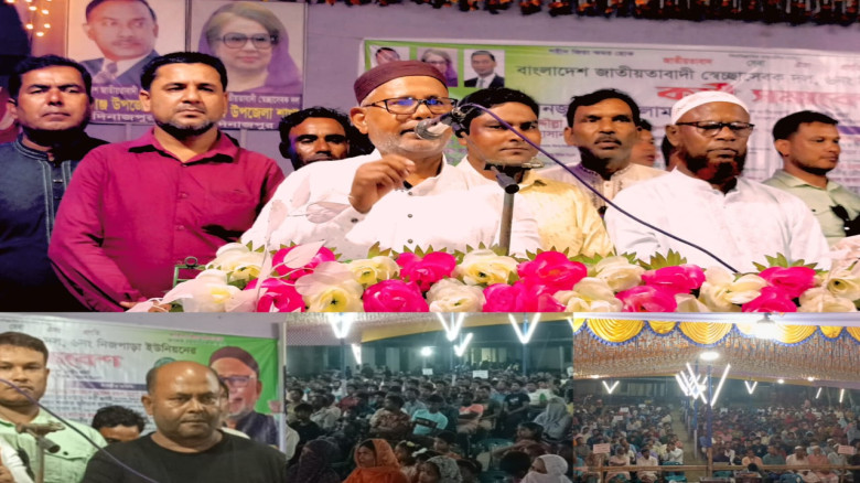 বীরগঞ্জে বাংলাদেশ জাতীয়তাবাদী স্বেচ্ছাসেবক দলের কর...