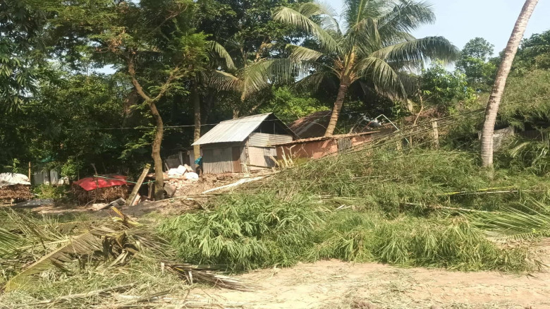 মতলব উত্তরে কলেজ সুজাতপুর প্রতিপক্ষের  অর্তকিত হাম...