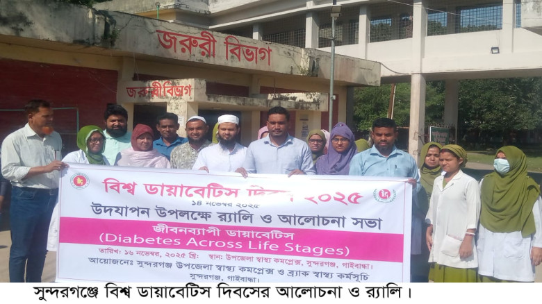 সুন্দরগঞ্জে ডায়াবেটিস দিবসের আলোচনা ও র‍্যালি...