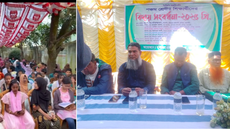 হলিহেরা একাডেমীতে পঞ্চম শ্রেণির শিক্ষার্থীদের বর্ণ...