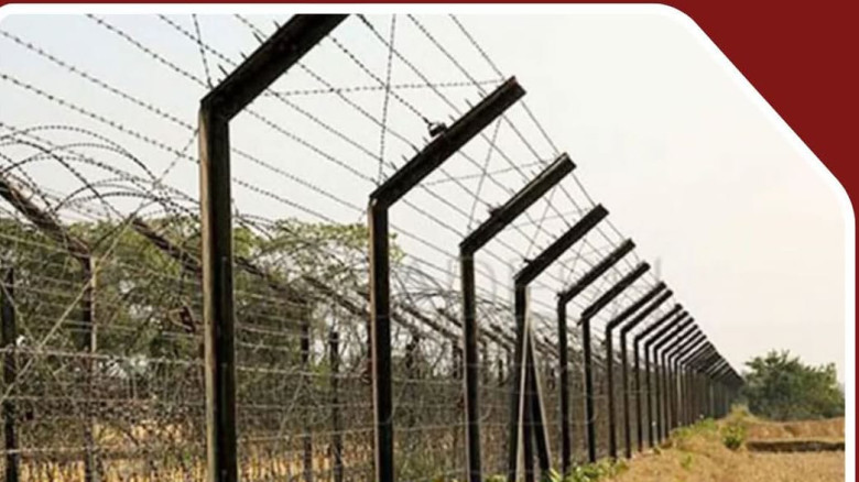 ভারতীয় সীমান্তে গরু পারাপার করতে গিয়ে বিএসএফের গ...