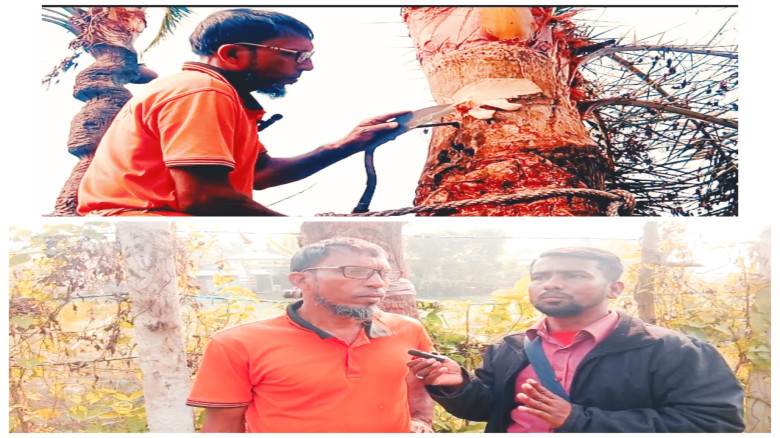 দিঘলিয়া উপজেলার ইয়ার আলীর খেজুর রস সংগ্রহ ও জীবন স...