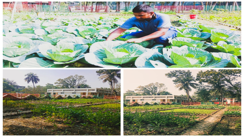 দিঘলিয়া উপজেলার পরিষদের পতিত জমি এখন ফুল ও সবজির ব...