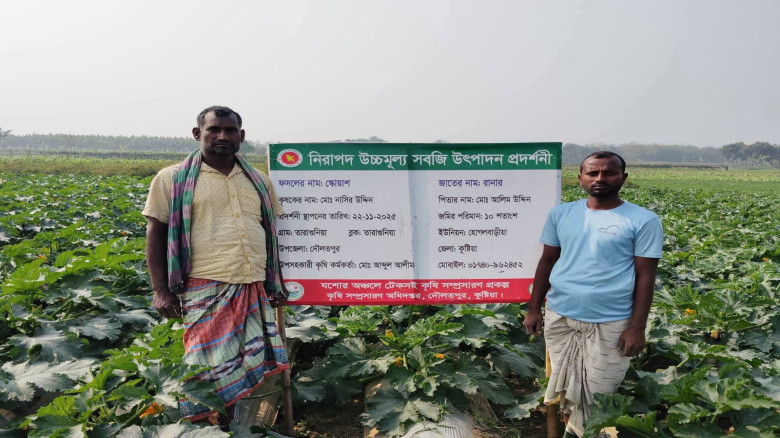দৌলতপুরে নিরাপদ উচ্চমূল্য সবজি উৎপাদনের সফল প্রদর্...