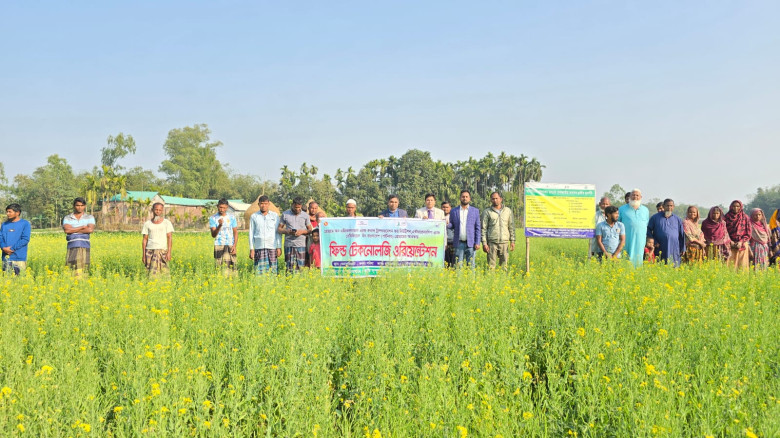 লালমনিরহাটের পাটগ্রামে সরিষা চাষে আধুনিক প্রযুক্তি...
