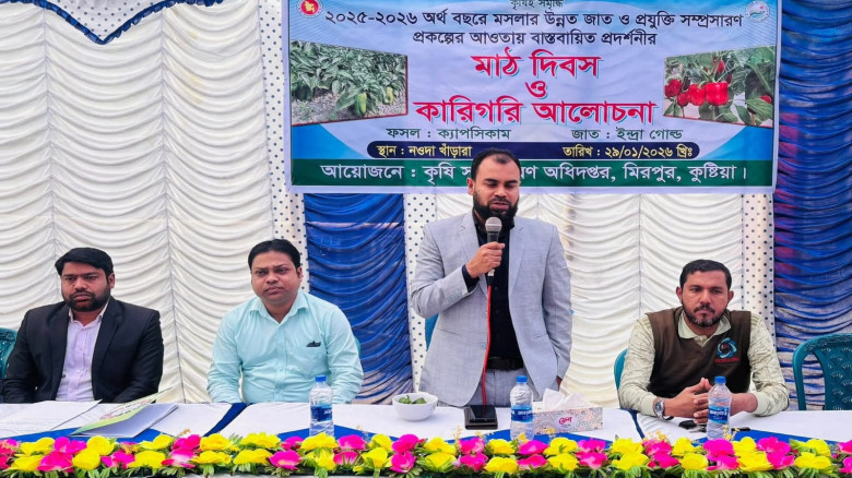 মিরপুরে ক্যাপসিকামের মাঠ দিবস ও কারিগরি আলোচনা সভা...