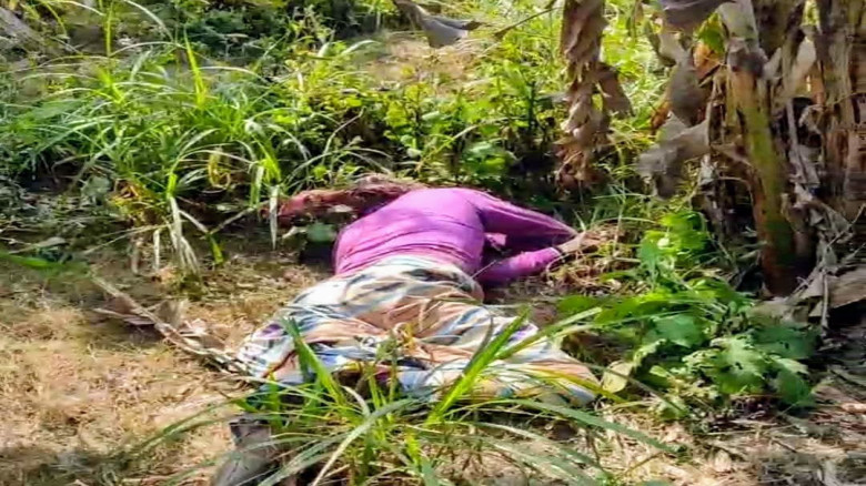 বাগমারা উপজেলা'য় কলাবাগান থেকে গলাকাটা লাশ উদ্ধার-...