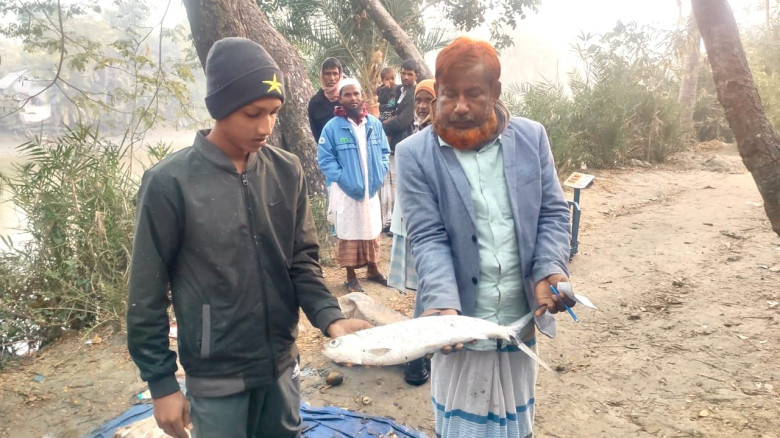 নিঝুম দ্বীপে মিলল বিরল প্রজাতির মিল্ক ফিশ...