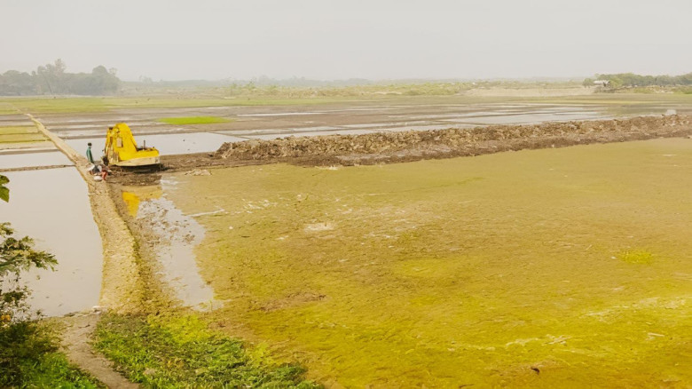 বাগমারা সাজুড়িয়া বিলে অবৈধ পুকুর খননে ক্ষুব্ধ-কৃষক...