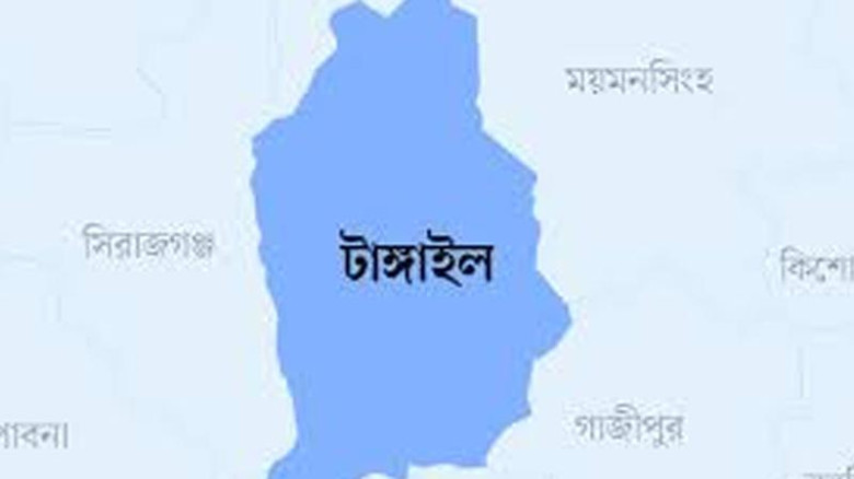 টাঙ্গাইলের কালিহাতীতে ট্রেনে কাটা পড়ে নারী ও শিশুস...