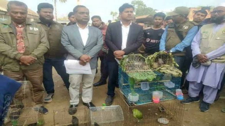 প্রণোদনা বঞ্চনার অভিযোগে ক্ষুব্ধ বন্যপ্রাণী উদ্ধার...